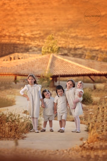 דבורי הרשלר מוקטו 0527143082