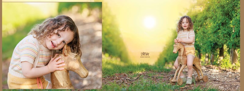 מאיר קניג 0504130218 אחוה פלוטקין18 copy