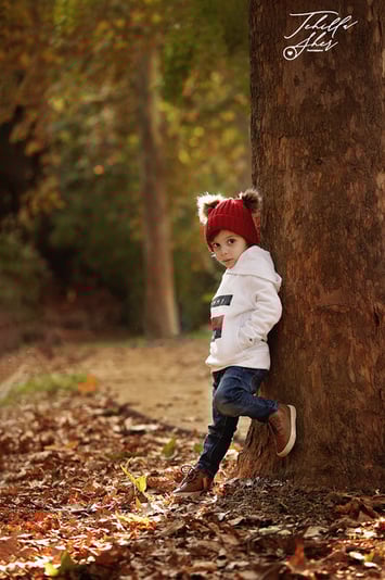 2502af_bb499c6fabb14c5b80038264bd8859ad_mv2