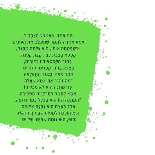 המטוס שלי (8)