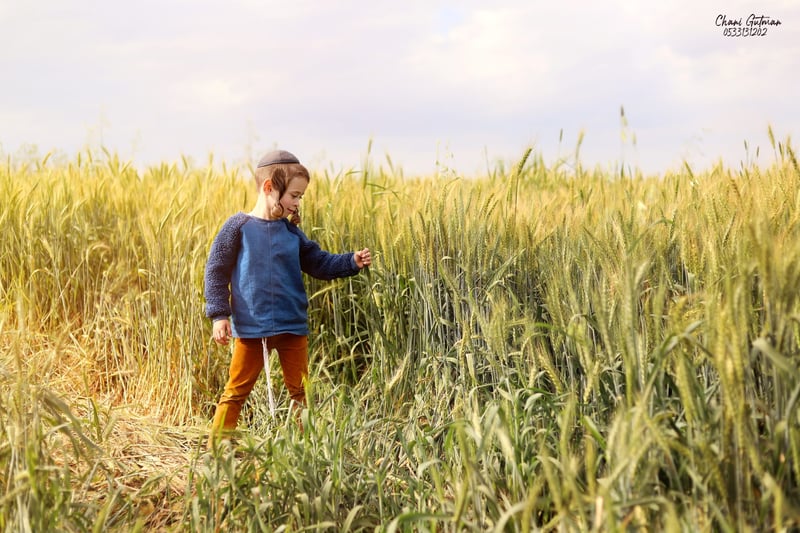 IMG_6474מעובדמוקטן