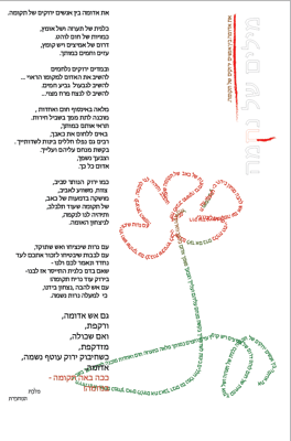 כלנית ירוקה (2)