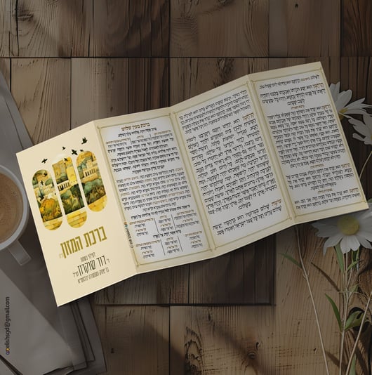 הדמיה-ברכון-דוד-זל