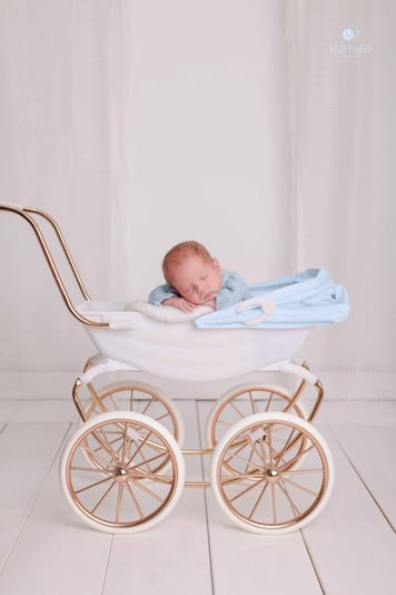 בתיה חיימזון (4)