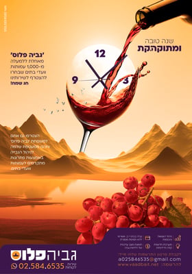 גביה פלוס-01