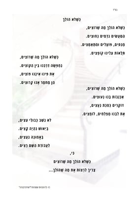 כשלא הולך.pdf_20250104_234247_0000