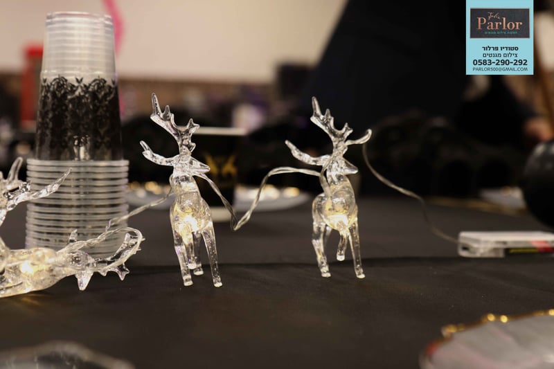 השראה מבת מצווה צילומי מגנטים סטודיו פרלור (2)