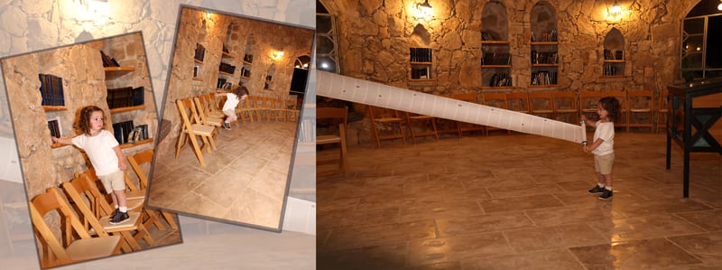 דבורי הרשלר מוקטן 0527143082 (14)