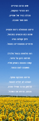 צילום מסך 2026-04-06 232128