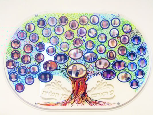 IMG_5993 מטושטש