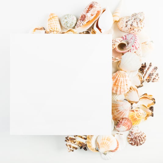 close-up-shot-paper-sheet-near-seashells