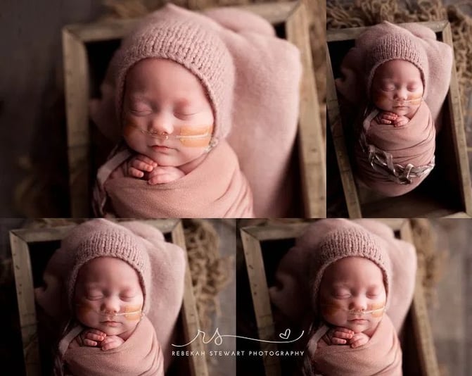NICU graduate - Cedar Rapids newborn photography (1)