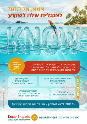 פלייר A5 ב