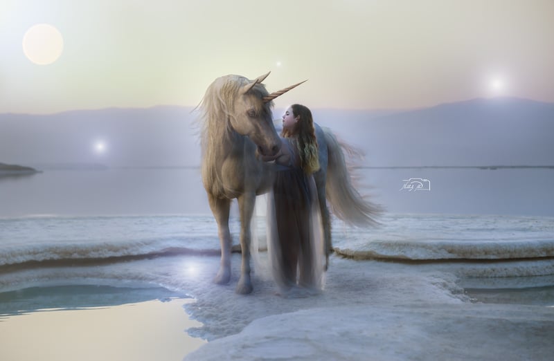 תמונה של WhatsApp‏ 2023-07-16 בשעה 12.28.56