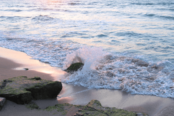 צילום מסך 2024-09-04 022101