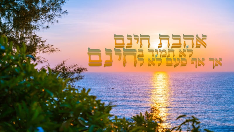 אהבת חינם 2