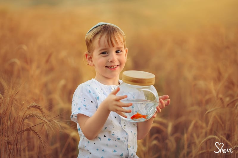 שבי מורסקי 0527189310 (8)