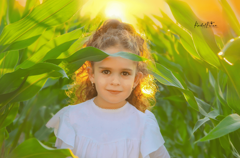 איכות נמוכה לוגו