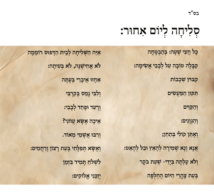 בקשת מחילה Sara Froylich