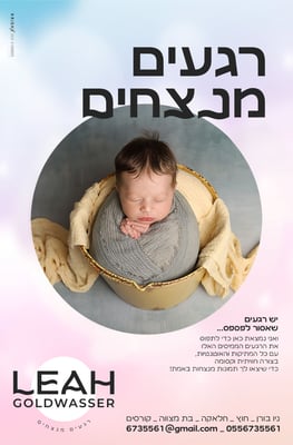טמפלט פרסום