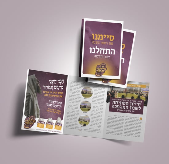הדמיה פלייר