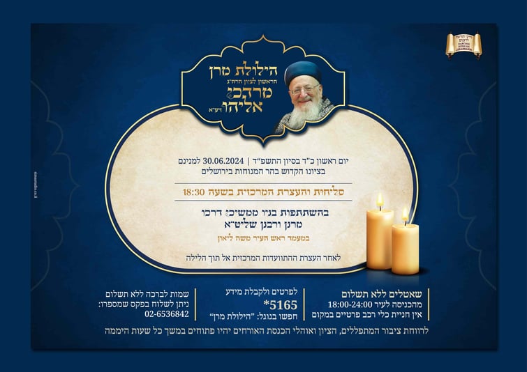 הדמיות הילולה3