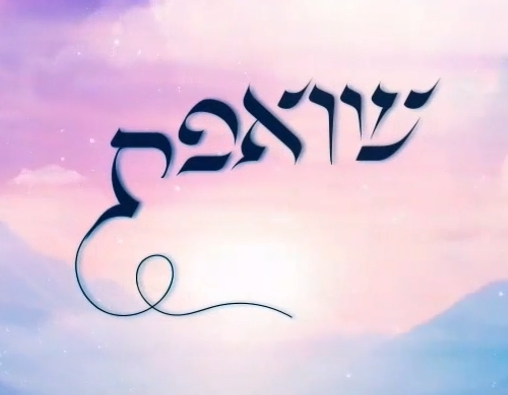 צילום מסך 2024-09-17 154329