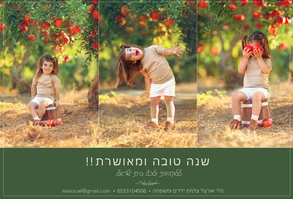 צילום מלי 0533104506