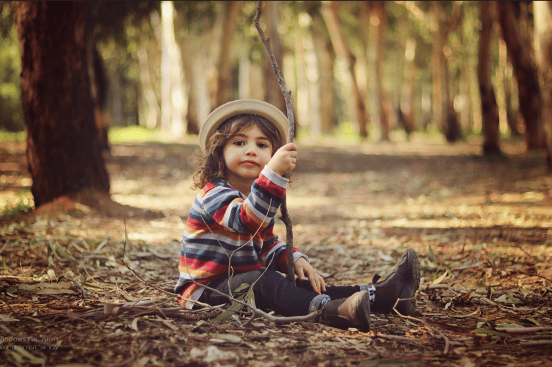 צילום מסך 2023-05-25 005848