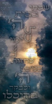 נוי סוכה