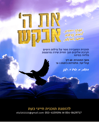 image (6)