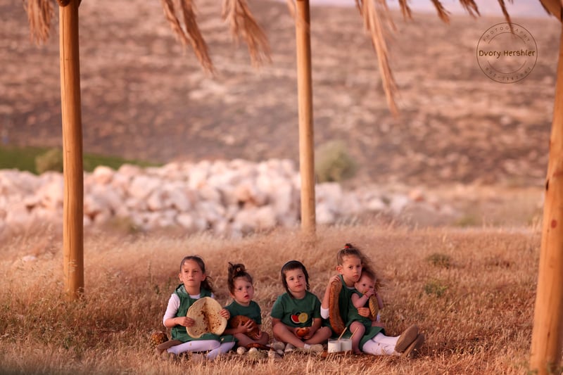 דבורי הרשלר מוקטן 0527143082 (3)