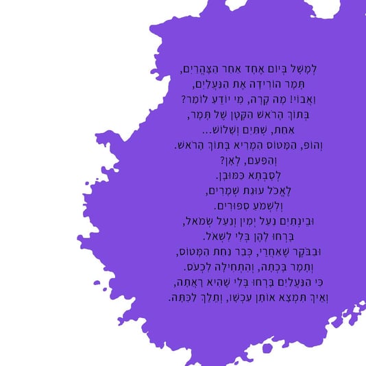 המטוס שלי (3)