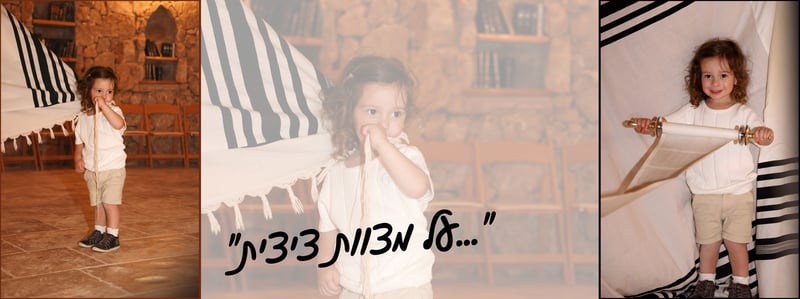 דבורי הרשלר מוקטן 0527143082 (15)