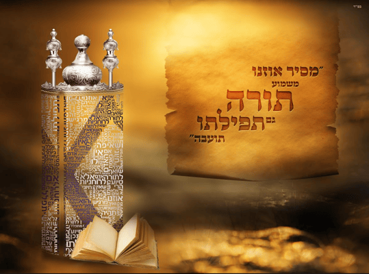 צילום מסך 2022-05-11 103943