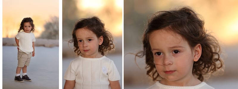 דבורי הרשלר מוקטן 0527143082 (24)