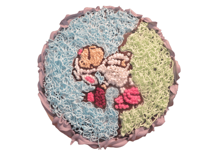 IMG_0011__2_-removebg-preview