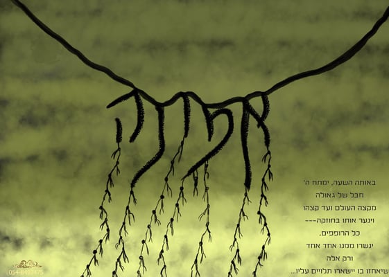 אמונה-הודיה בושארי