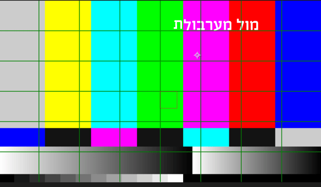 צילום מסך 2026-10-22 104640