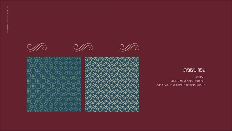 שמחהלה פרזנטציה10