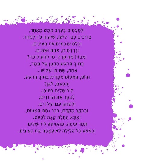 המטוס שלי (6)