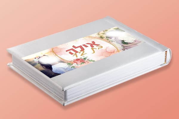 אילה אלבום דיגיטלי