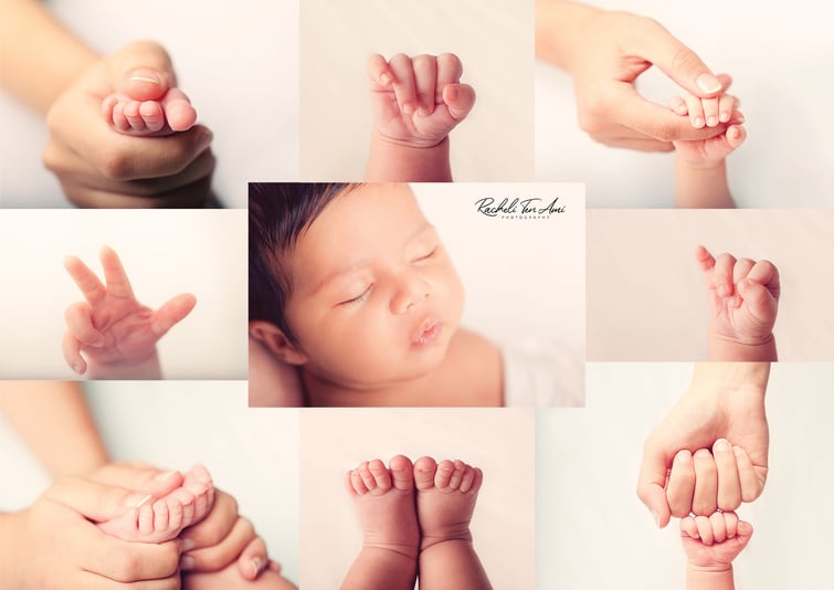 קולאז אביגיל מאקרו