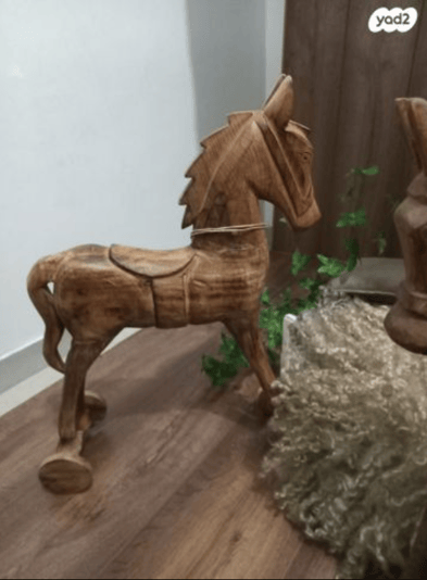 צילום מסך 2024-02-06 215448