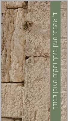 צילום מסך 2024-09-25 023032