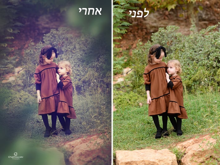 לפני ואחרי עלים