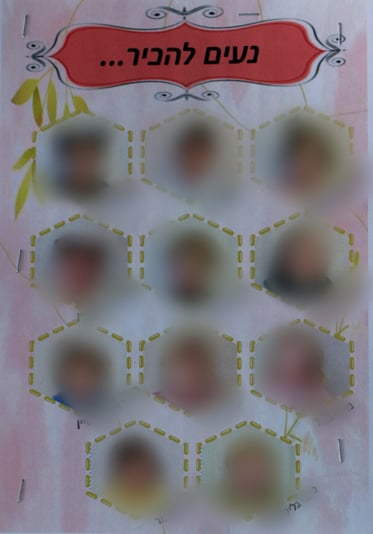 מעון מטושטש (Large)