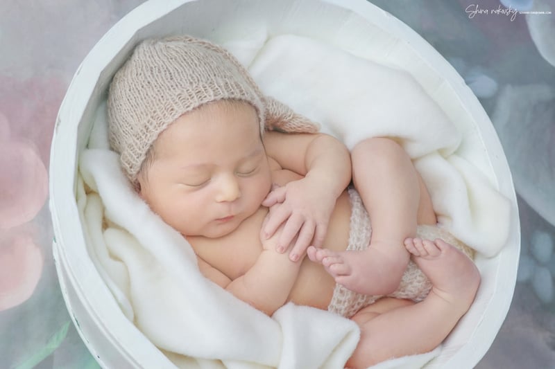 צילום שירה רקובסקי s0548481508@gmail (2)