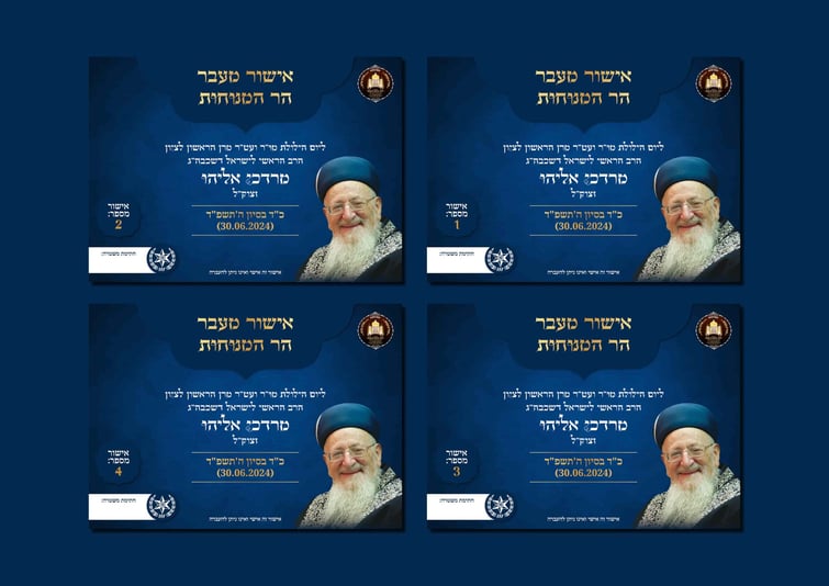 הדמיות הילולה4