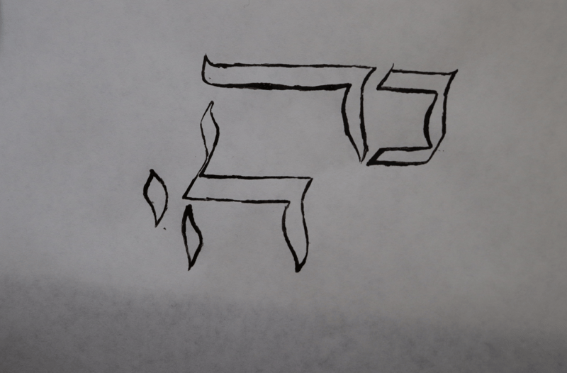 צילום מסך 2024-05-22 022944